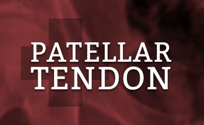 Patellar Tendon Doctor